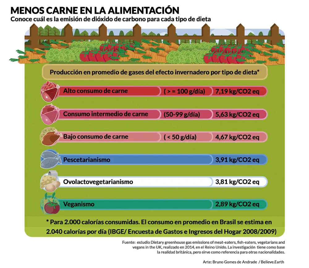 comer menos carne ayuda al medio ambiente - Cómo afecta el consumo de carne en el medio ambiente