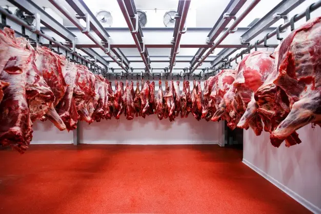 camaras para carniceria nuevas - Cómo deben colocarse los productos crudos en las cámaras