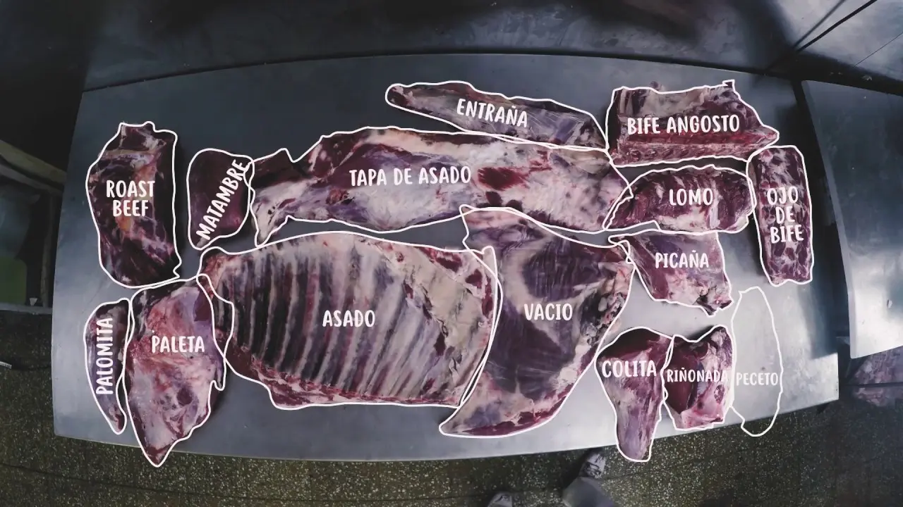 arañita carne ubicación - Cómo es la arañita