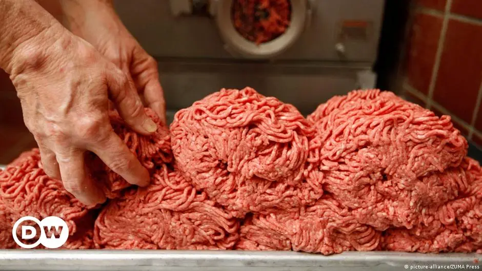 Carne picada de caballo: una opción nutritiva y sabrosa - Cómo es la carne molida de caballo carne picada de caballo - Cómo es la carne molida de caballo