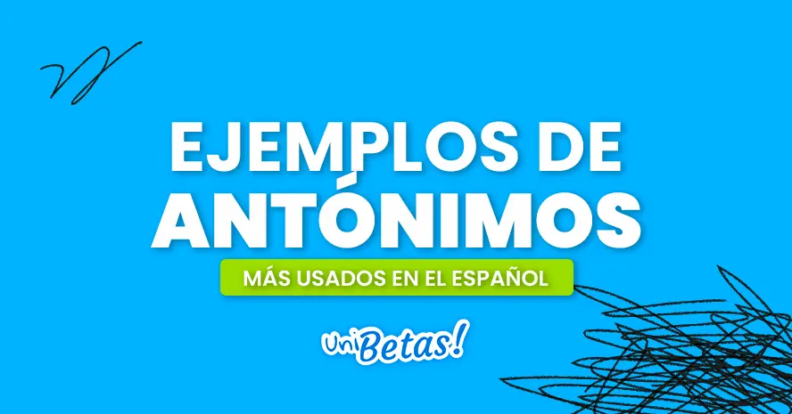 antonimo de carne - Cómo reemplazar la palabra piel