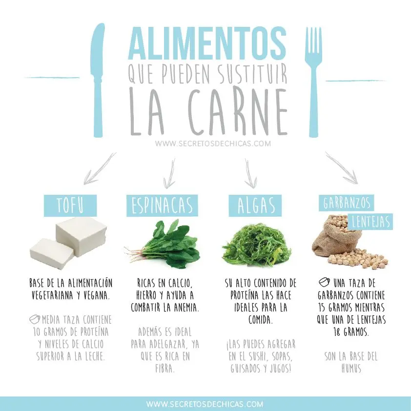 como sustituir la carne en dieta vegetariana - Cómo reemplazar la proteína cuando se es vegetariano