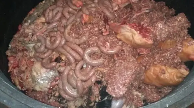 carne de cerdo infectada - Cómo saber si la carne de cerdo está infectada