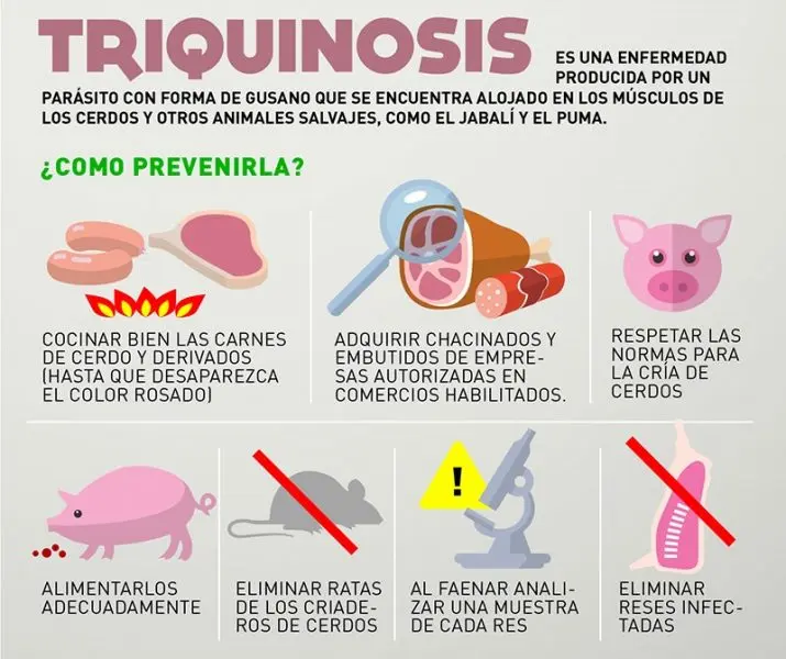 como eliminar la triquina de la carne - Cómo saber si la carne tiene triquina