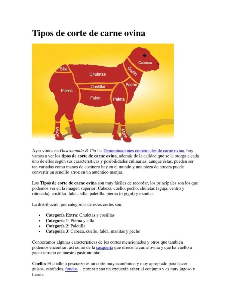 cortes de carne de ovino - Cómo se clasifica la carne ovina