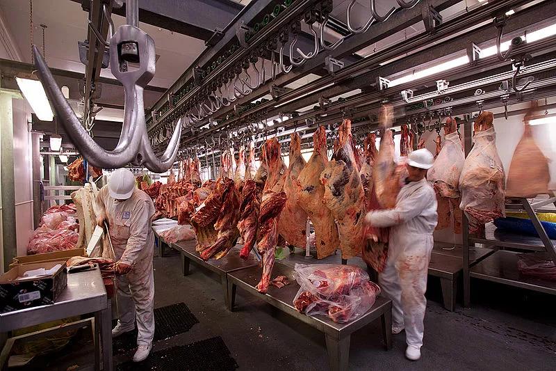 proyecto carniceria colombia - Cómo se comercializa la carne en Colombia