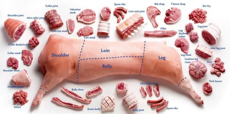 carne de cerdo traduccion - Cómo se dice cerdo en USA