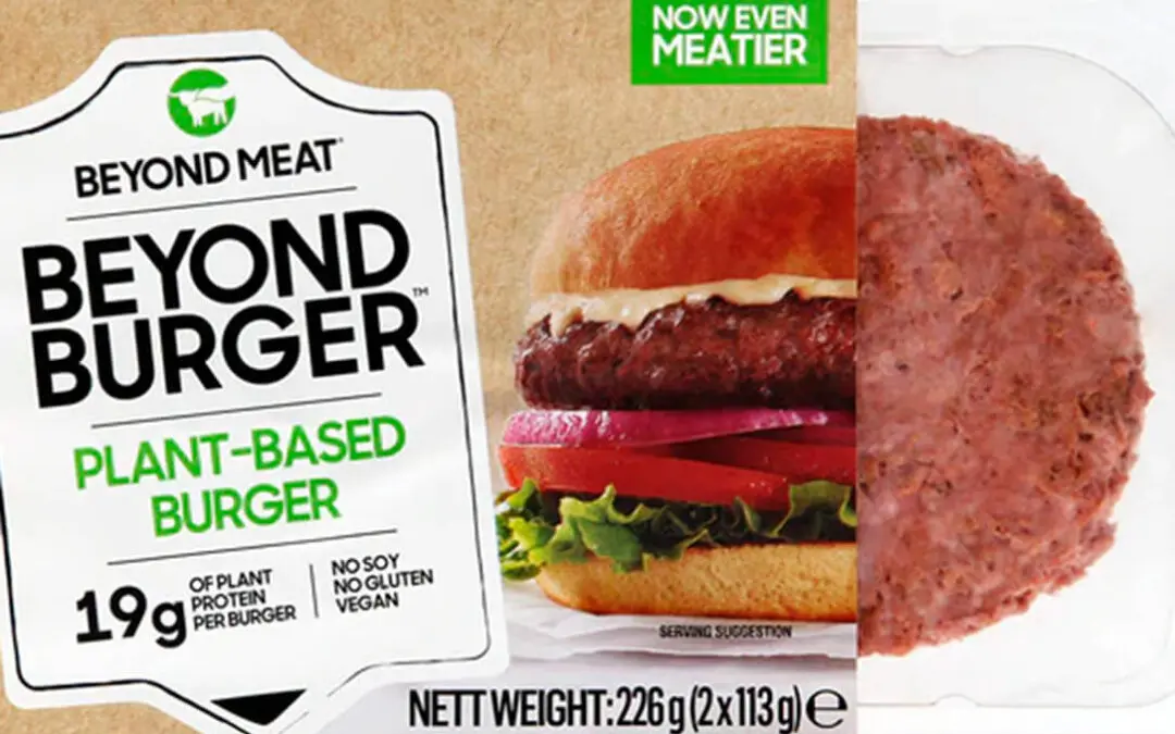 carne vegetariana nombre - Cómo se llama la carne de soya