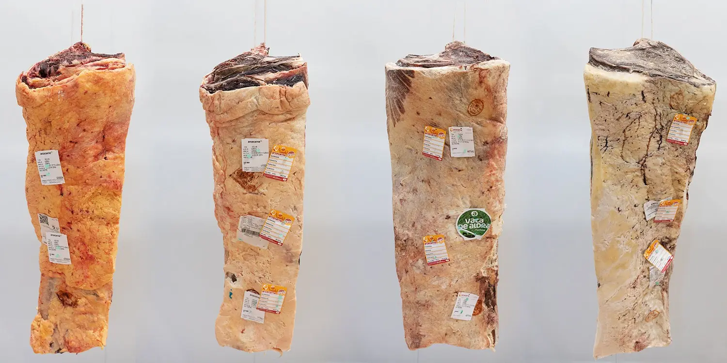 carne madurada en seco - Cómo se madura la carne en seco