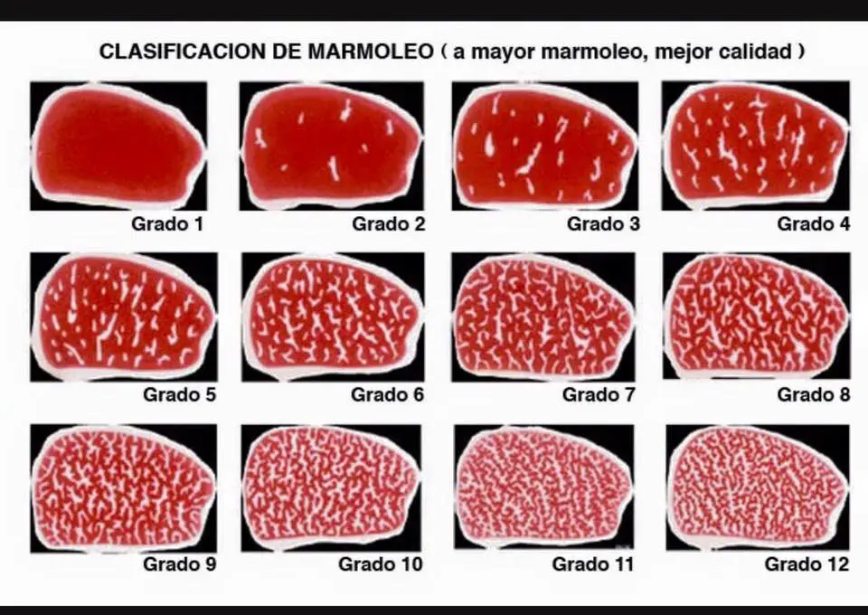 grados de marmoleo de la carne - Cómo se Marmolea la carne