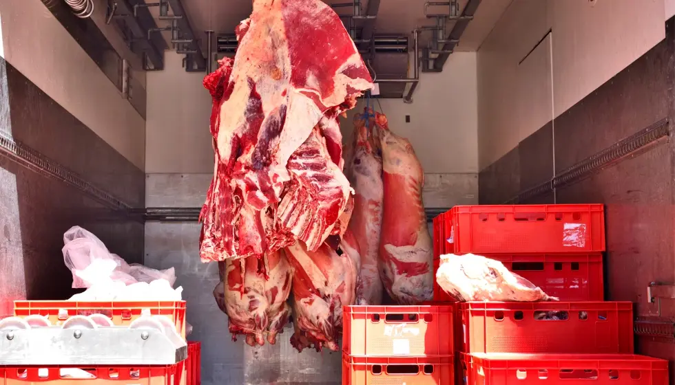 como se transporta la carne - Cómo transportar carne de un estado a otro
