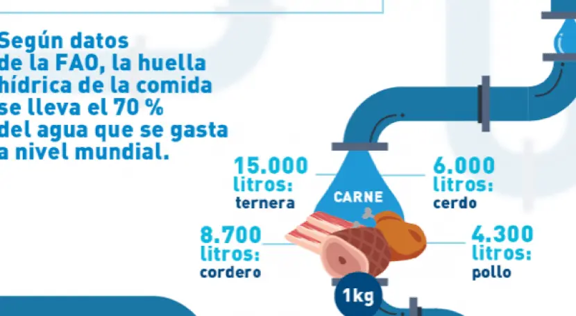 agua carne - Cuál es el porcentaje de agua en la carne