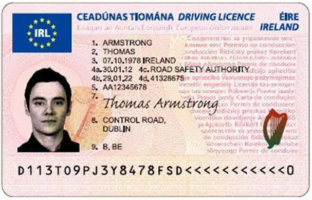 carné de conducir o carnet de conducir - Cuál es el significado de carnetizacion