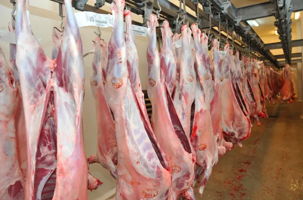 carnes ovinas - Cuál es la mejor carne de ovino
