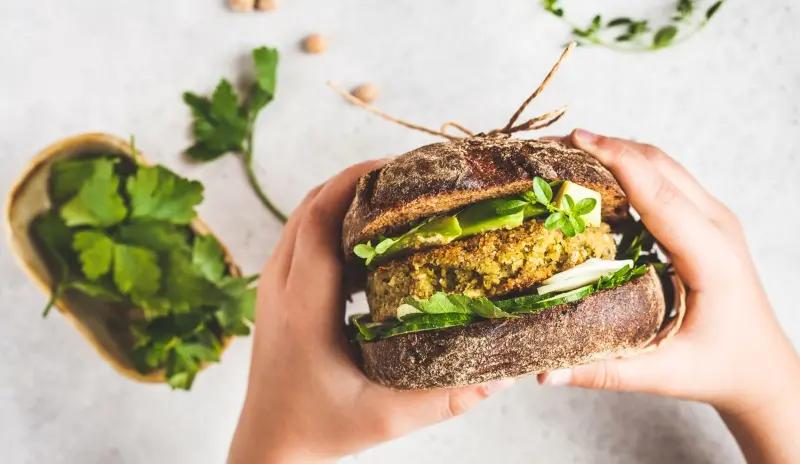 Carne vegetal: ¿Qué es y cómo se elabora? - Cuál es la mejor carne vegetal carne vegetal que es - Cuál es la mejor carne vegetal