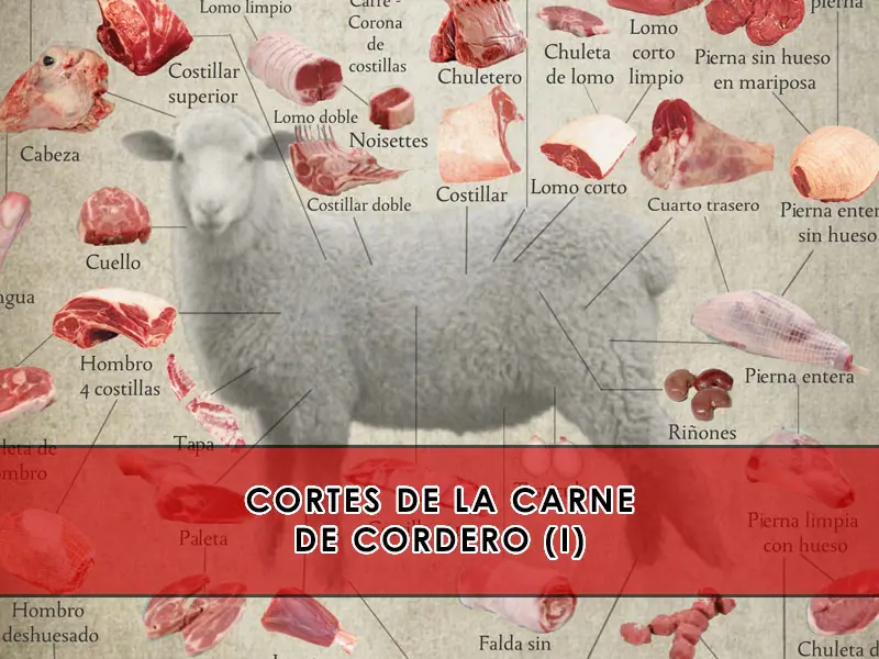 partes de un cordero para carniceria - Cuál es la parte más rica del cordero