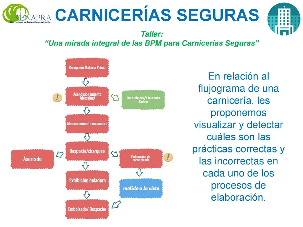 BPM en carnicerías: garantizando la higiene y la seguridad alimentaria - Cuáles son las BPM más importantes bpm en carnicerias - Cuáles son las BPM más importantes