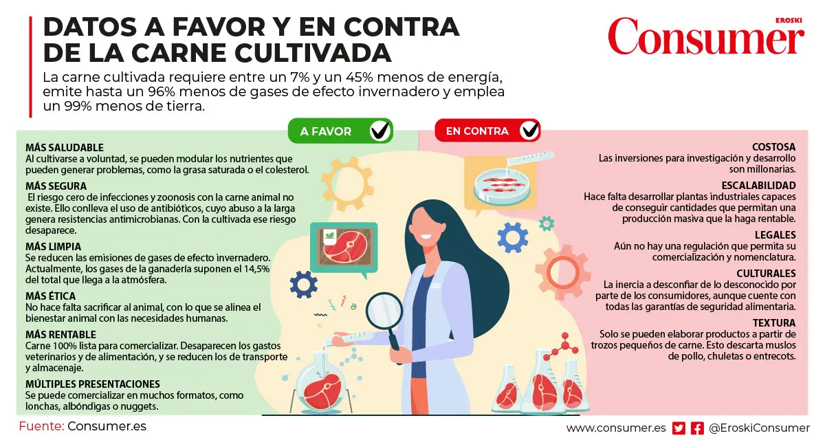 carne beneficios y desventajas - Cuáles son las desventajas de la carne