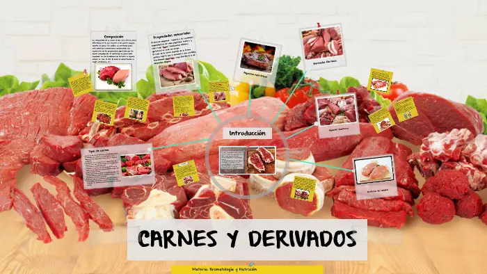 Derivados de la carne: todo lo que necesitas saber - Cuáles son los derivados de la carne derivado de la carne - Cuáles son los derivados de la carne