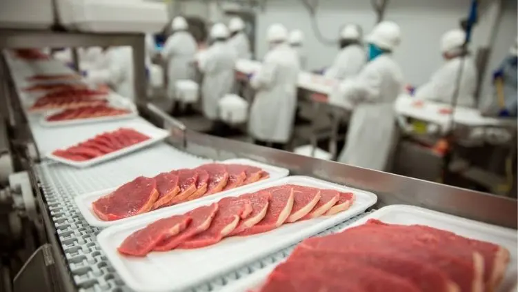 Los productos de carnicería y su relación con los alimentos procesados - Cuáles son los productos carnicos procesados los productos de carniceria tienen procesados - Cuáles son los productos carnicos procesados
