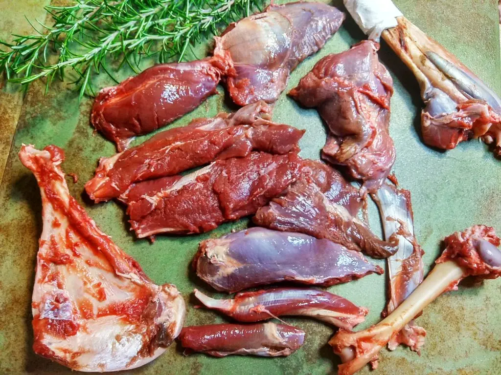 carne de caza españa - Cuándo se puede cazar en España