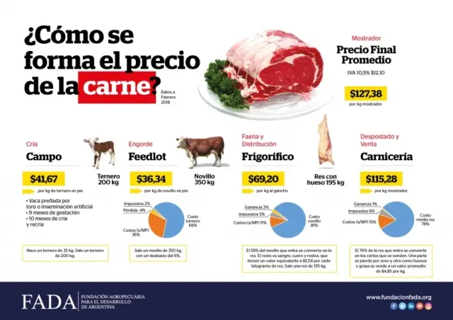 precio de una vaca de carne - Cuánta carne se obtiene de una vaca