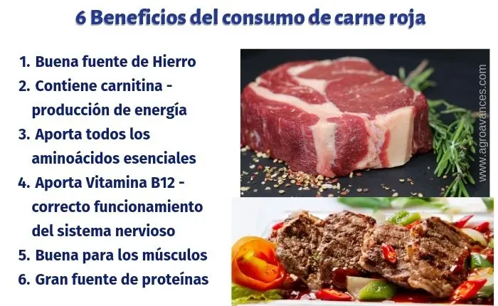 Carne Roja: Propiedades y Beneficios para la Salud - Cuántas veces a la semana se puede comer carne roja carne roja propiedades - Cuántas veces a la semana se puede comer carne roja