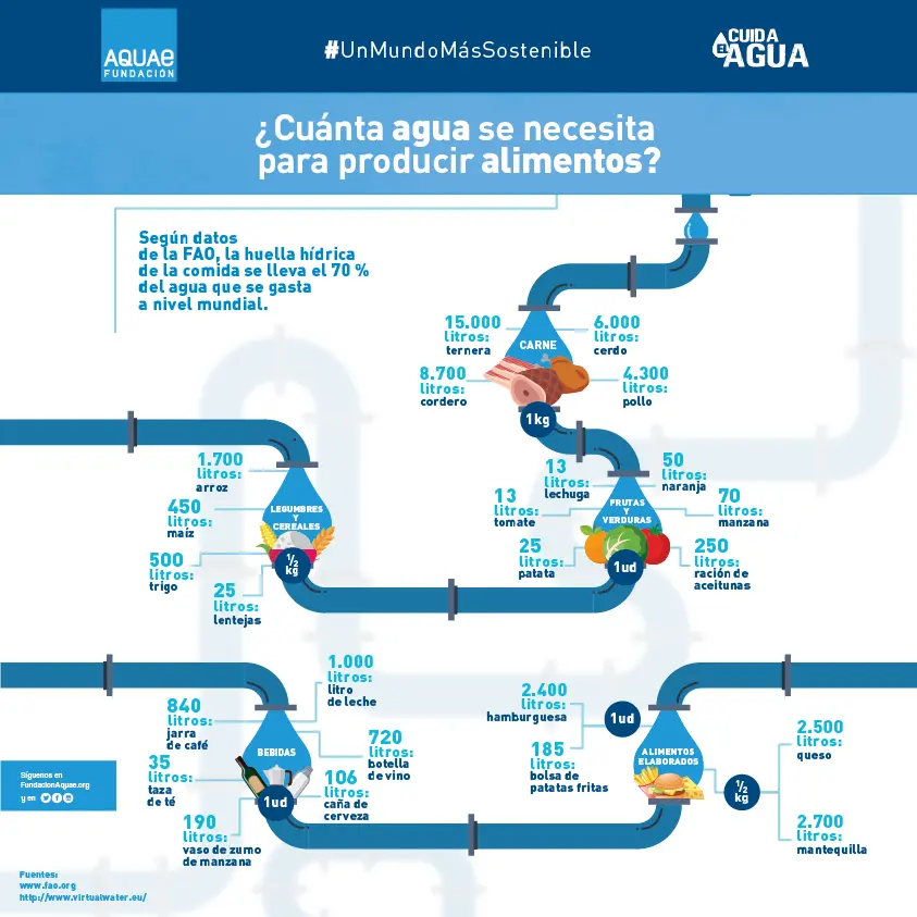 cuanta agua se gasta en producir carne - Cuánto agua consume la ganaderia