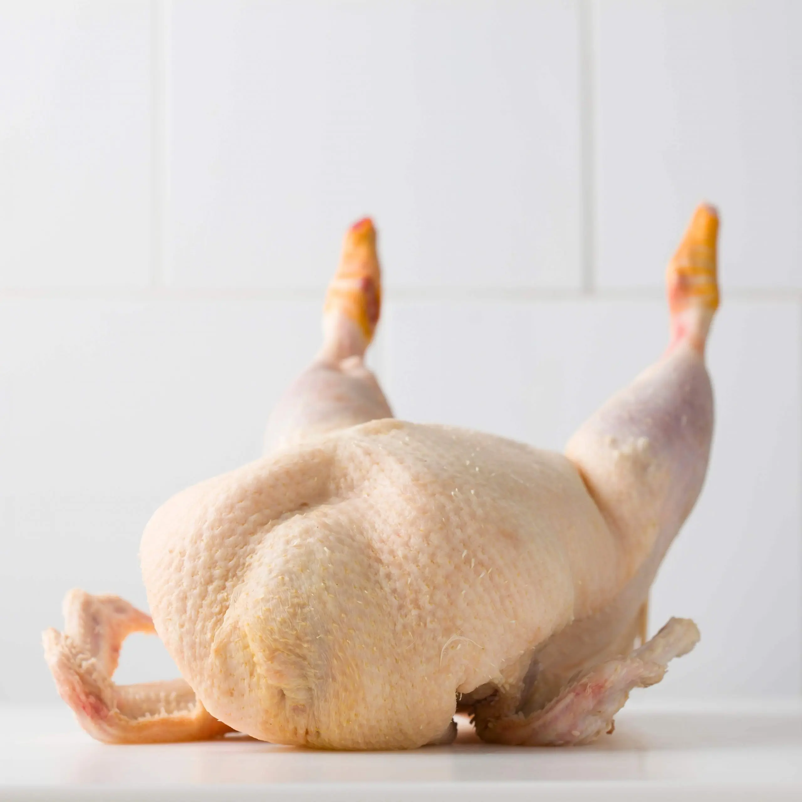 comprar carne de pato online - Cuánto cuesta el pato en Perú