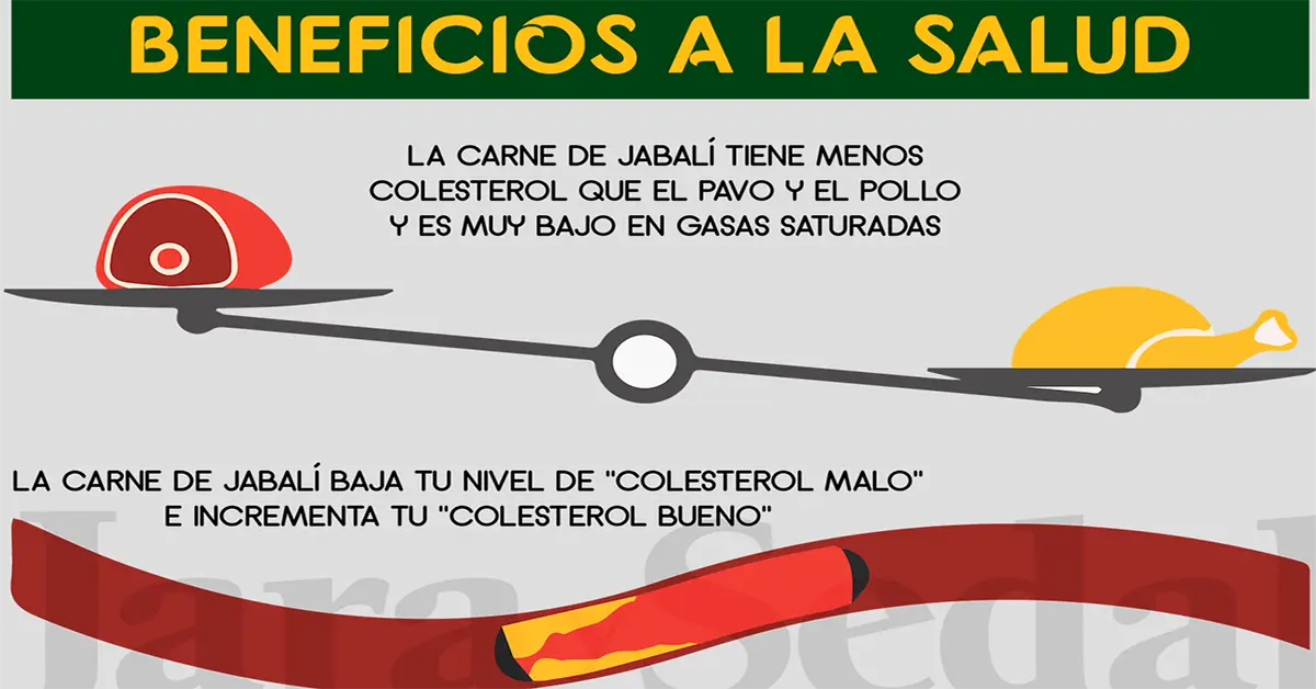 Beneficios de la carne de jabalí - Cuánto hierro tiene la carne de jabalí beneficios de la carne de jabali - Cuánto hierro tiene la carne de jabalí