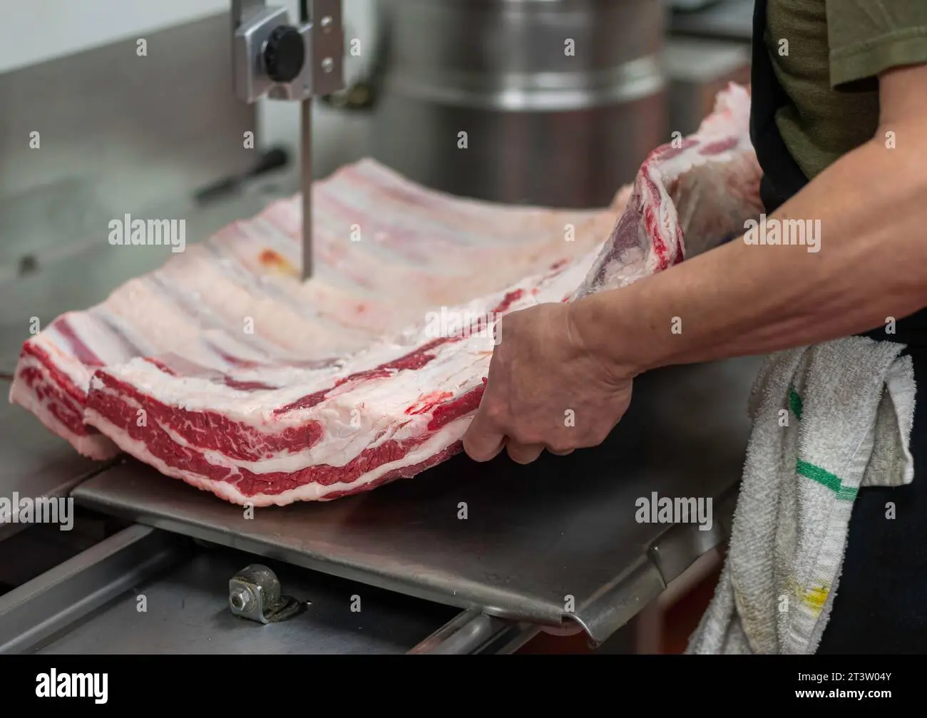 carniceria o matadero para barf - Cuánto tiempo tiene que estar congelada la carne dieta BARF