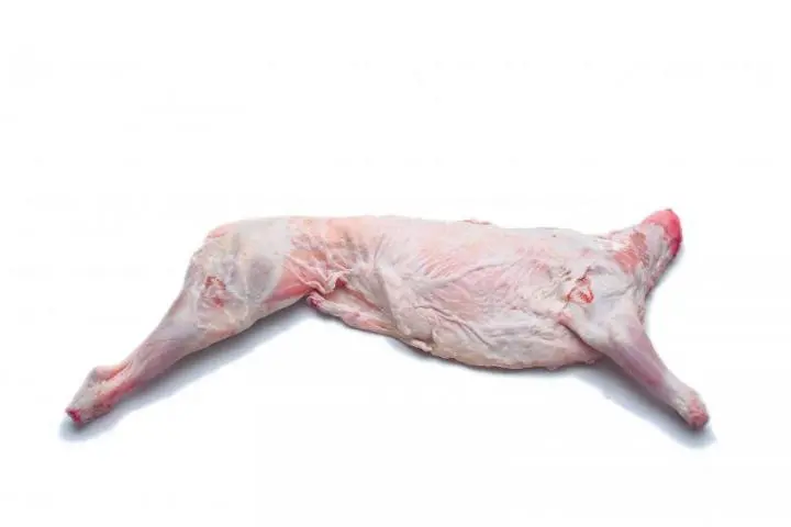 Comprar cabrito en carnicería en El Molar - Cuántos comen con un cuarto de cabrito comprar cabrito en carniceria en el molar - Cuántos comen con un cuarto de cabrito