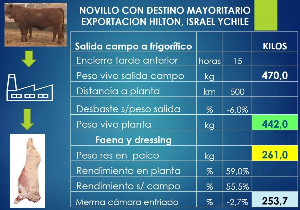 cuanta carne tiene una vaca - Cuántos kilos de lomo tiene una vaca