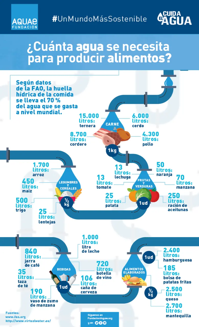 Agua por kilo de carne: ¿Cuántos litros se necesitan? - Cuántos litros de agua se necesita para producir 1 kg de carne de pollo agua por kilo de carne - Cuántos litros de agua se necesita para producir 1 kg de carne de pollo