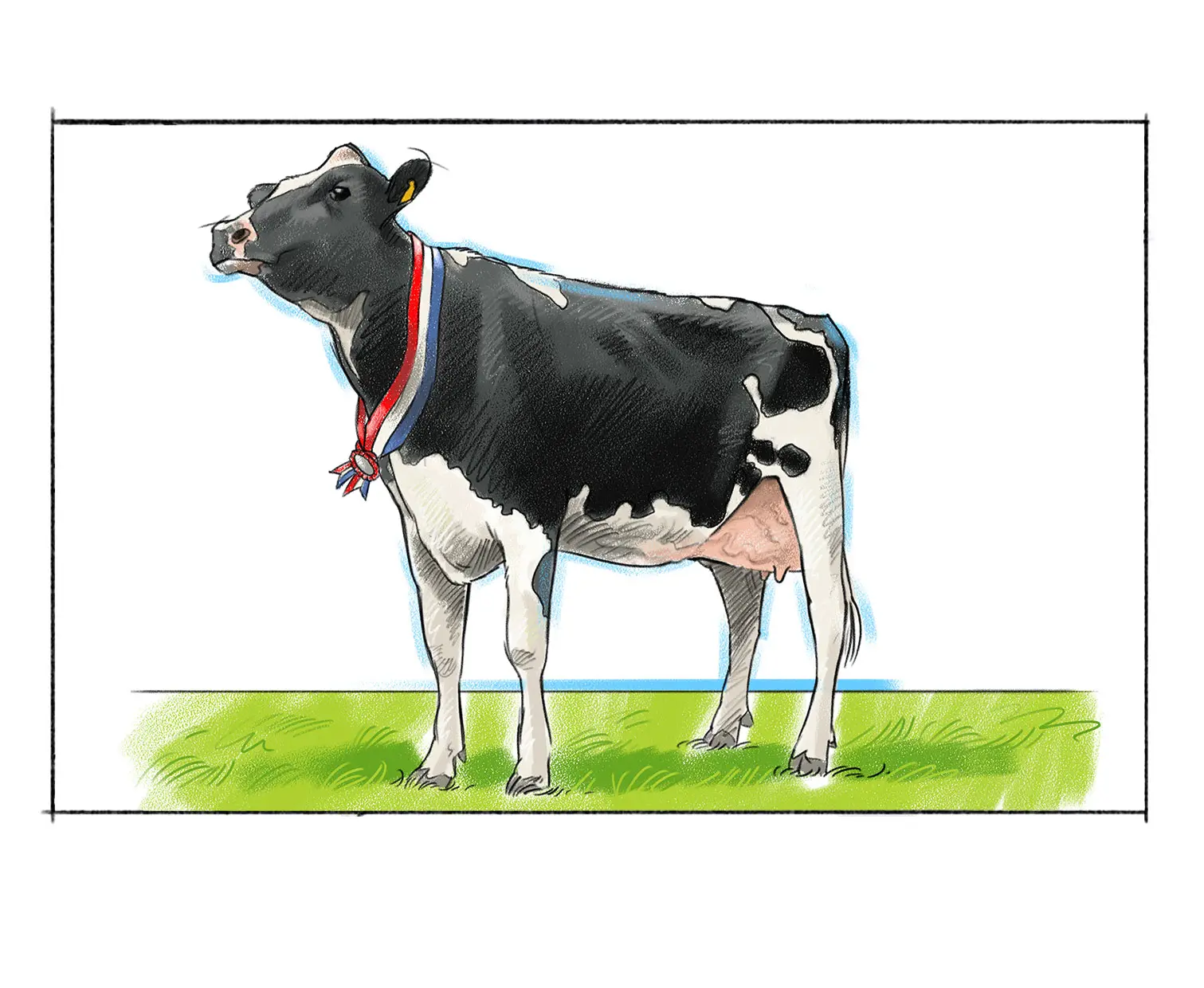 La carne de vaca lechera: una opción nutritiva y deliciosa - Cuántos litros de leche da una vaca de carne carne de vaca lechera - Cuántos litros de leche da una vaca de carne