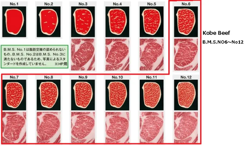 carne kobe niveles - Cuántos tipos de Wagyu hay