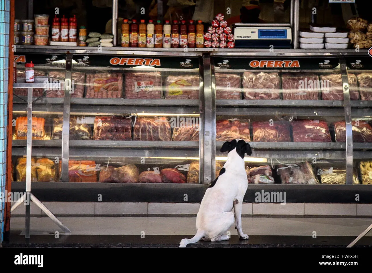 carniceria carne de perro francia - Dónde comen carne perro
