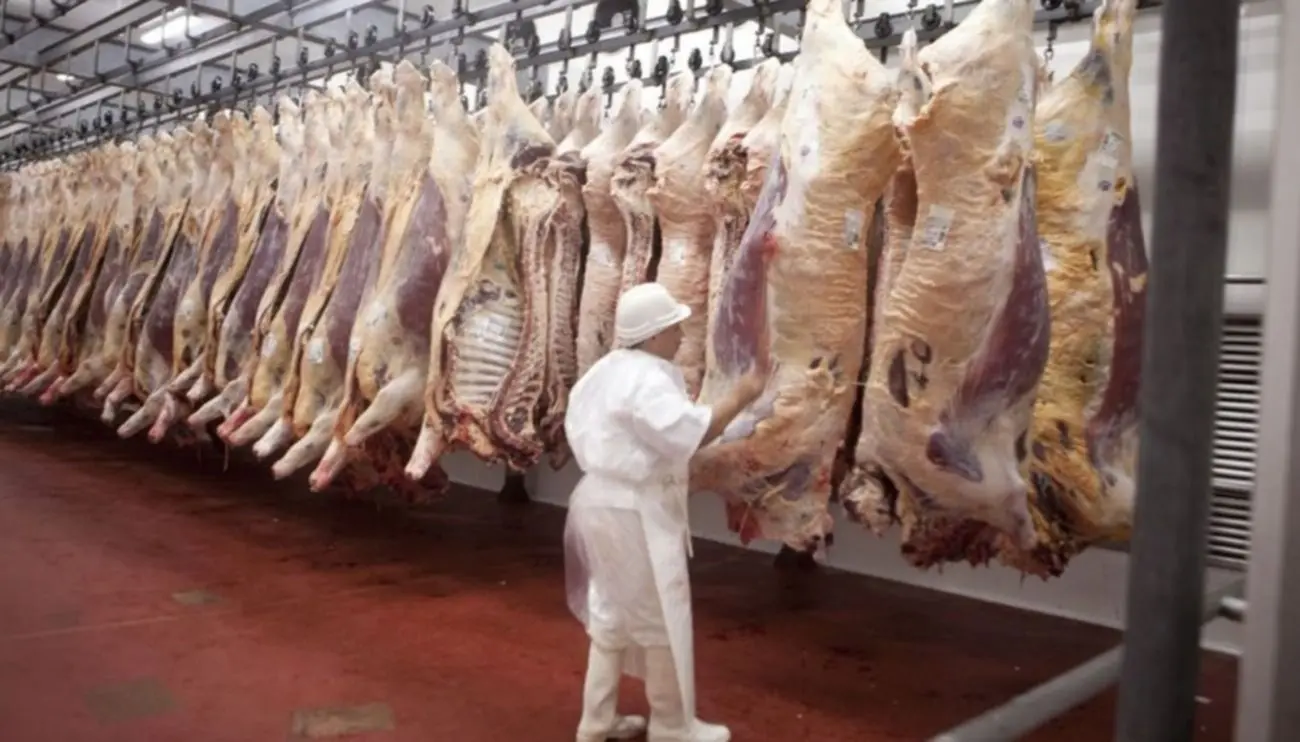 BPM en carnicerías: garantizando la higiene y la seguridad alimentaria - Dónde se aplican las BPM en alimentos bpm en carnicerias - Dónde se aplican las BPM en alimentos