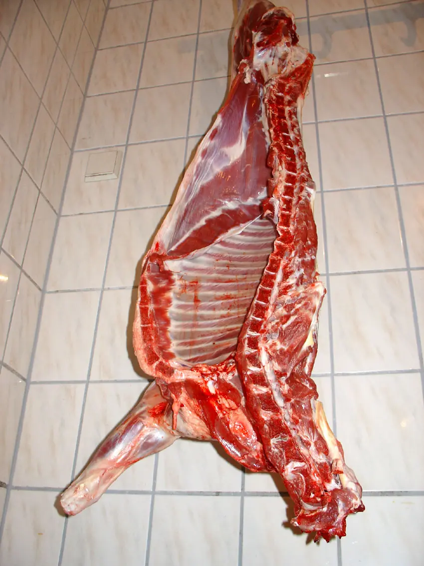 carne de oveja - Dónde se come oveja