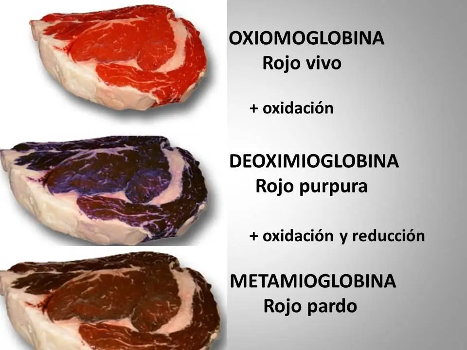 Por qué la carne de res se pone café - Por qué la carne de res se pone café carne color marrón - Por qué la carne de res se pone café