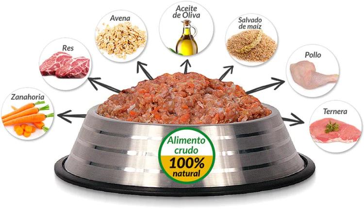 carne barf para perros - Por qué la dieta BARF no es buena