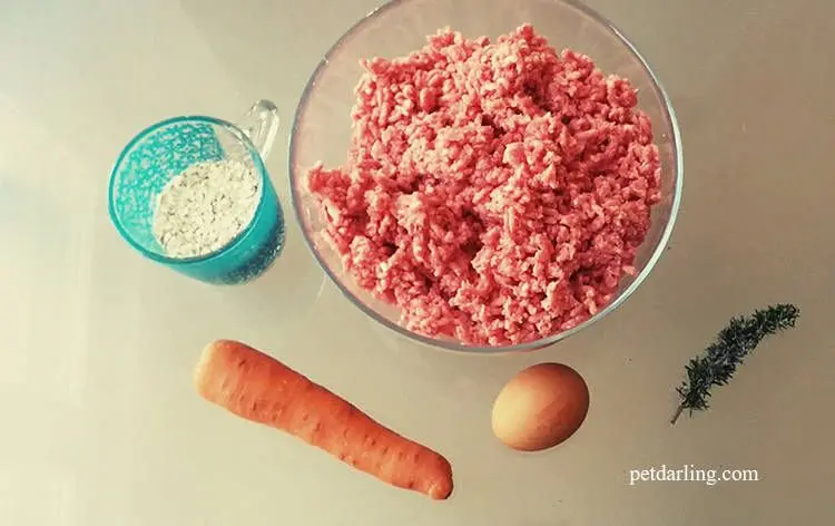 Cómo cocinar carne picada para perros - Por qué no se le puede dar carne hervida a los perros como cocinar carne picada para perros - Por qué no se le puede dar carne hervida a los perros