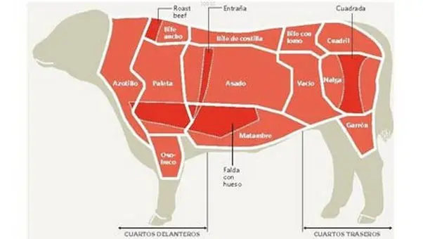 de donde proviene la palabra carne - Por qué se llama carnet