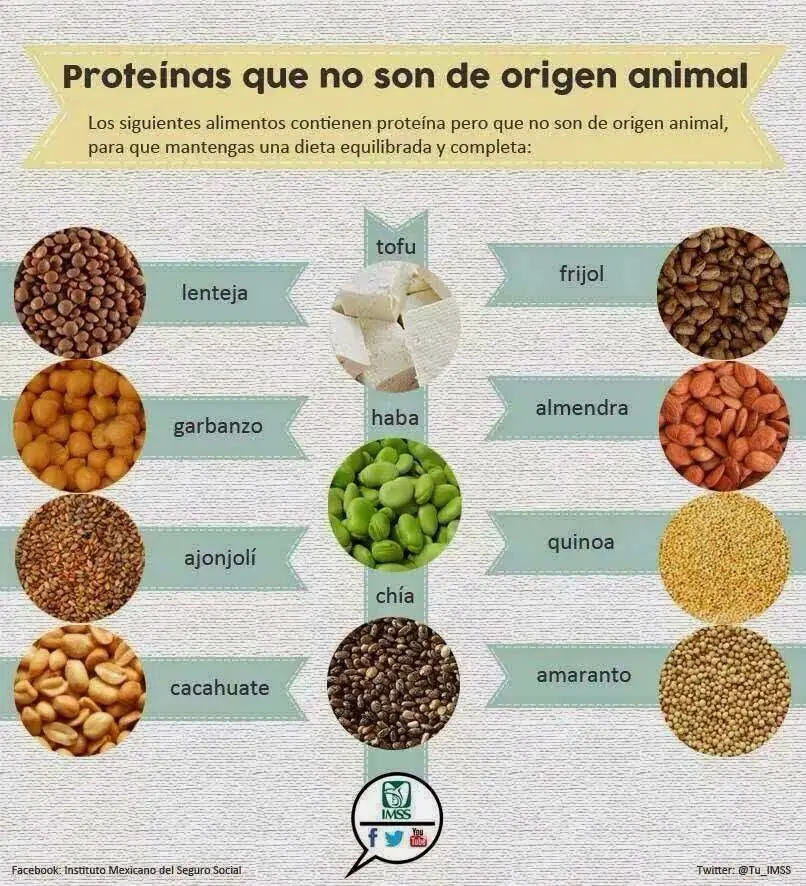 sustitutos de la carne - Qué alimentos sustituyen la proteína de la carne