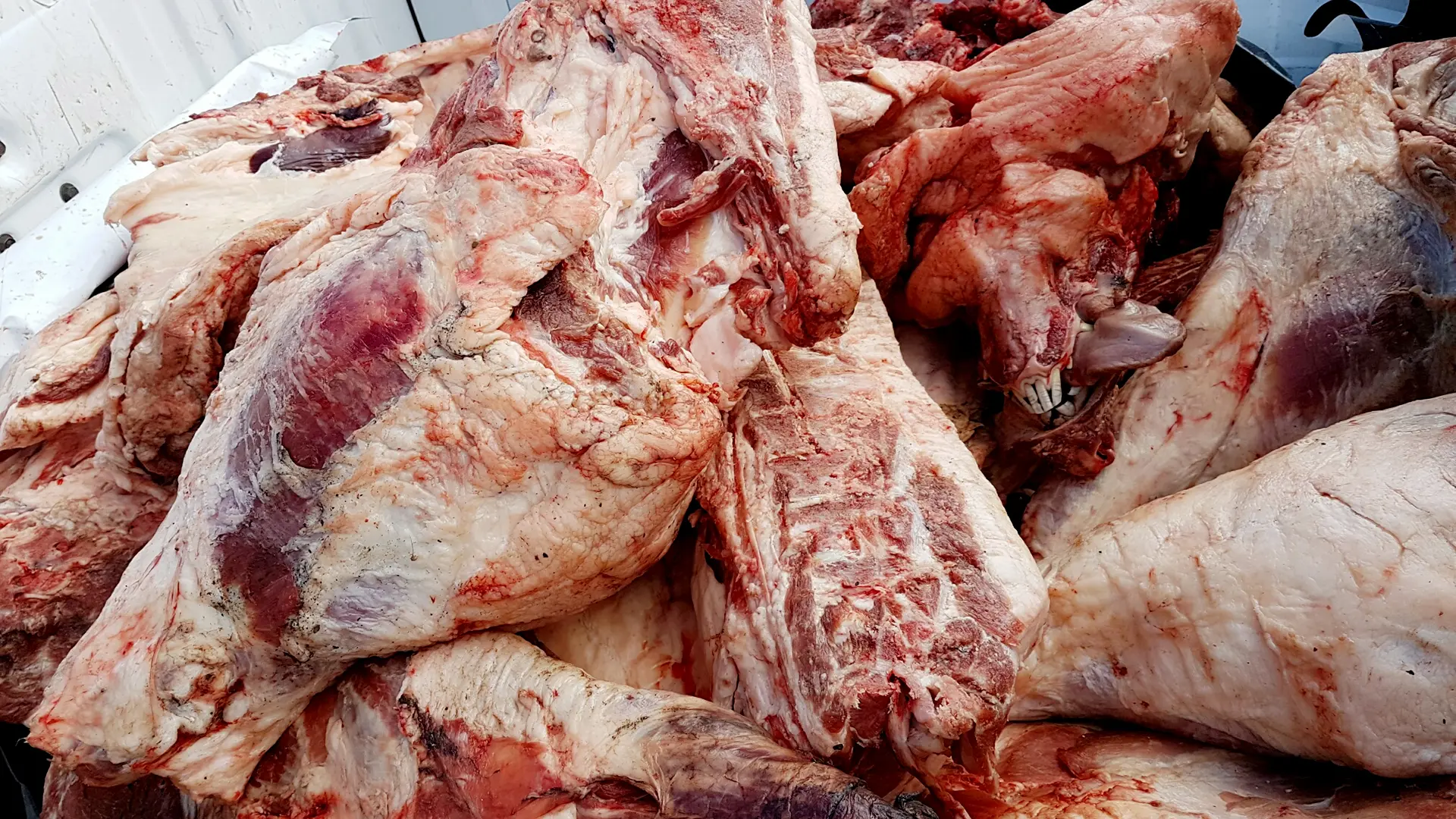 carne con triquinosis - Qué alimentos tienen triquinosis
