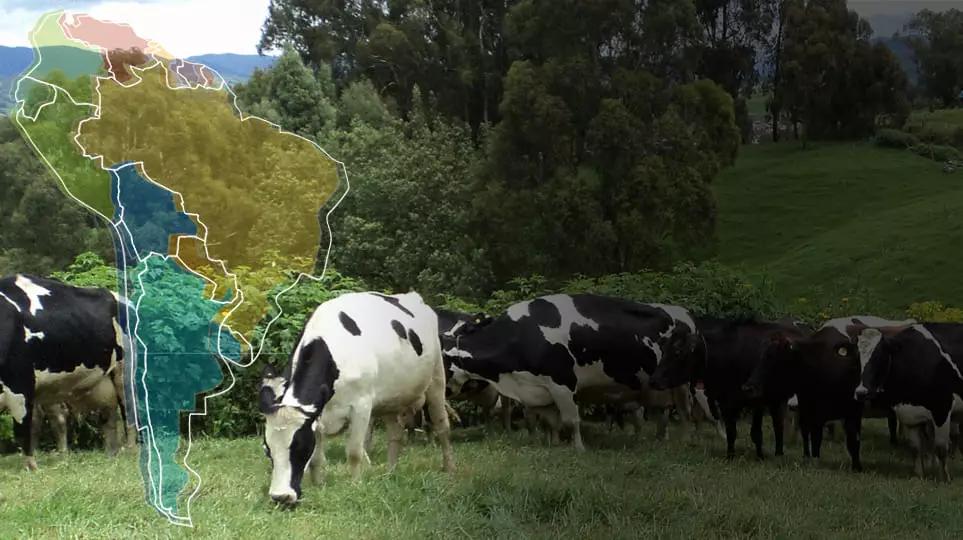 Carne sostenible: una opción consciente para el consumo - Qué carne es la menos sostenible carne sostenible - Qué carne es la menos sostenible