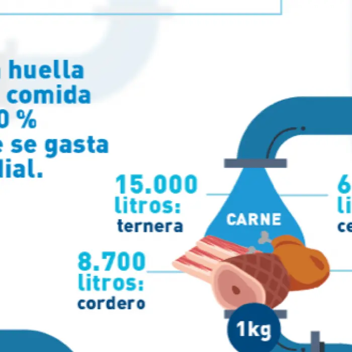 cuanta agua tiene la carne - Qué carnes tienen mayor cantidad de agua