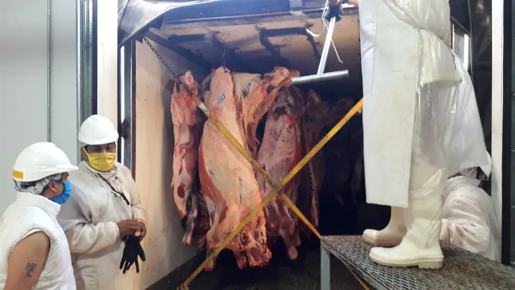 carne camion - Qué carnet se necesita para un camión