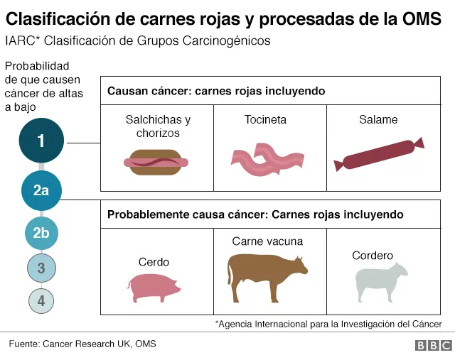 carnes procesadas y cancer - Qué dice la OMS de las carnes procesadas