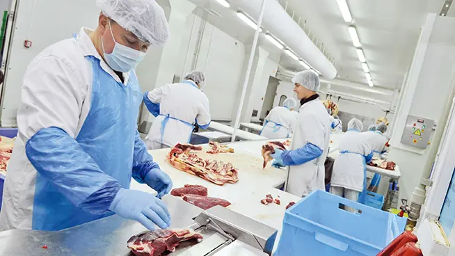limpieza de utensilios de carniceria - Qué equipos se utilizan para desinfectar